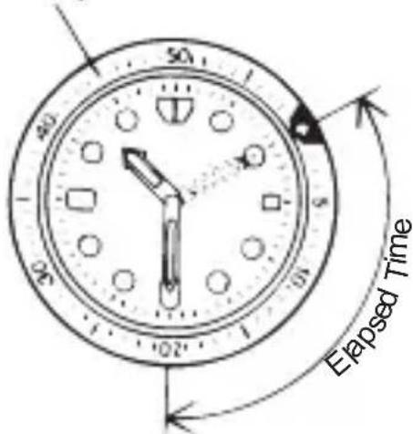 Elapsed Time