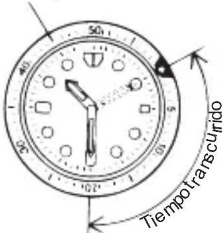 50 40 50 Tiempo transcurrido