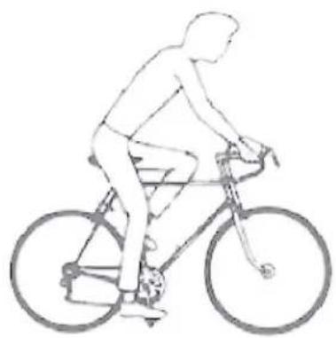 Kayoba 006-376 - SE MOUNTAINBIKE - 11