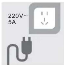 220V~ 5A