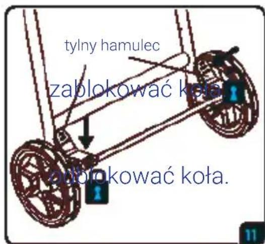 Lionelo Lea - PL - 2