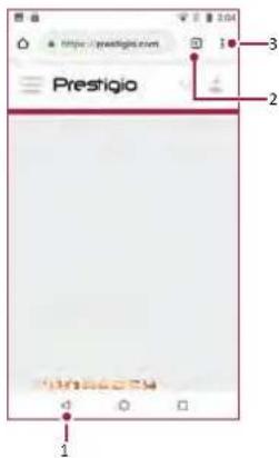 PRESTIGIO Grace P7 LTE - Browse a web page - 2