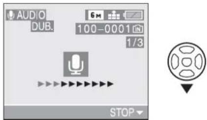 AUDIO DUB. 6 m 100-0001 1/3 STOP