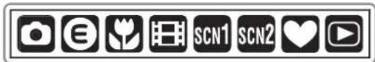 Row of eight black-and-white icons with camera, flower, play button, SCN1, SCN2, heart, and play symbols