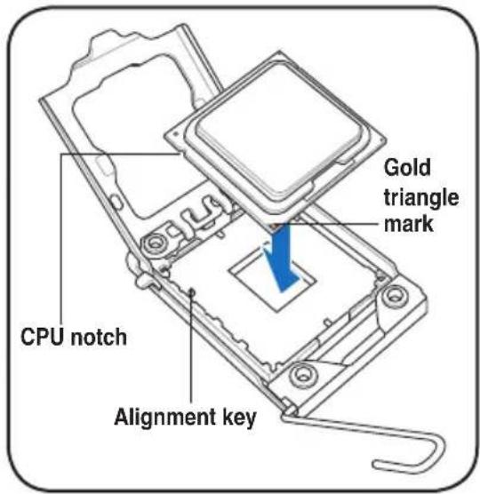 Gold triangle mark CPU notch Alignment key