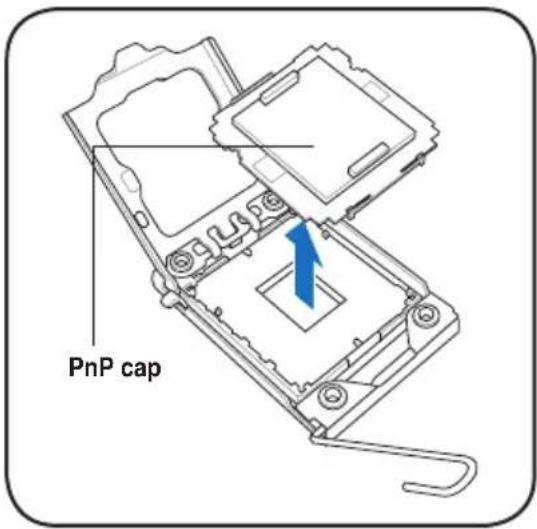 PnP cap