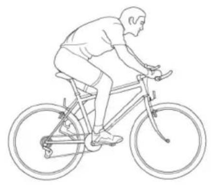 Kayoba 006-373 - SE DAMCYKEL - 4