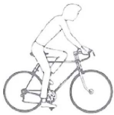 Kayoba 006-379 - SE MOUNTAINBIKE - 12