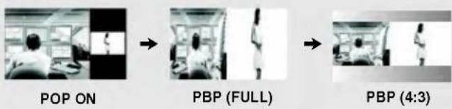 LG M173WA - POP (Picture out Picture) Button - 1