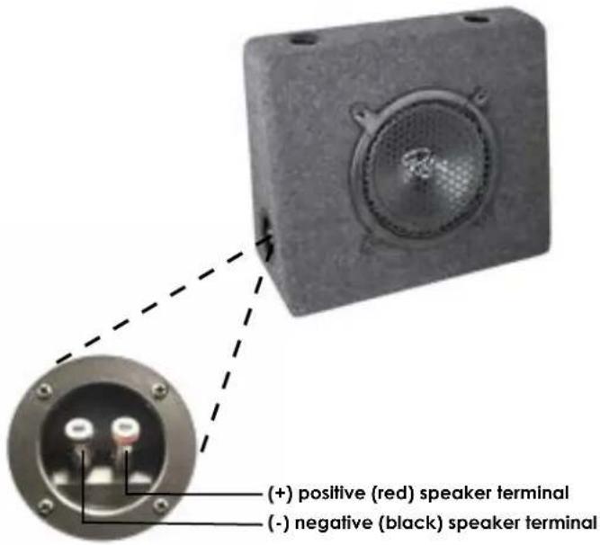 (+) positive (red) speaker terminal (-) negative (black) speaker terminal