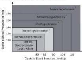 TRISTAR BD-4610 - Blood pressure standard. - 1