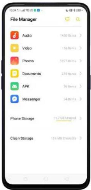 Realme V23 - File classification - 2