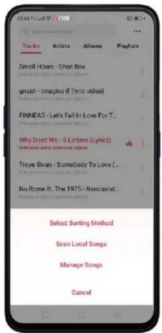 Realme V23 - Scan local songs - 1