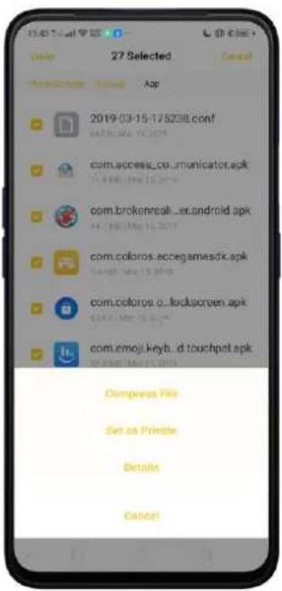 Realme V23 - File classification - 8