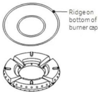 Dacor DTT48M876LM - WARNING - 3