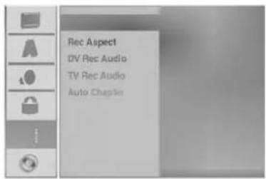 Rec Aspect DV Rec Audio TV Rec Audio Auto Chapter