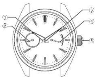 Labeled diagram of a wristwatch with numbered parts for identification