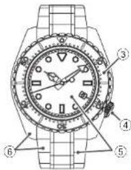 Technical diagram of a wristwatch with numbered parts for identification