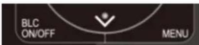 BZBGear BG-BPTZ - 5) BLC Setting - 1