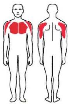 TAURUS Iso Triceps Dip Sterling - Exercise Instructions - 2