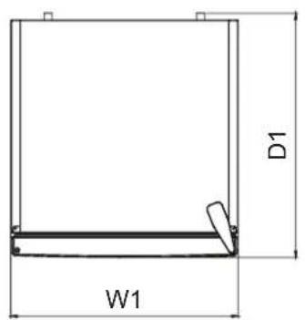 D1 W1