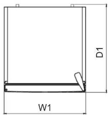 D1 W1