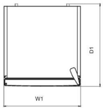 D1 W1