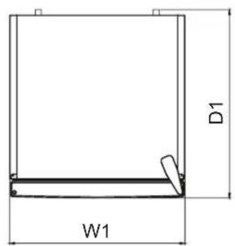 D1 W1