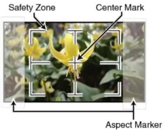 DataVideo TLM-170KR - Safety Marker - 1
