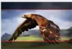 DataVideo TLM-170KR - Aspect MAT - 2
