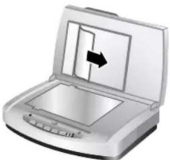 HP Scanjet 7600 - Fjerne papir som sitter fast ved slutten av en side - 3