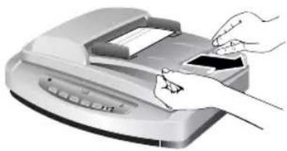 HP Scanjet 7600 - Fjerne papir som sitter fast ved slutten av en side - 1