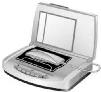 HP Scanjet 7600 - Fullføre skanningen - 1