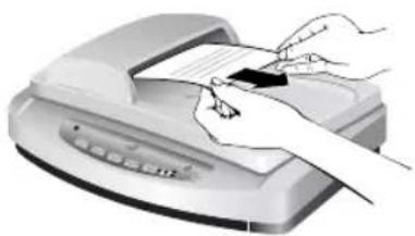 HP Scanjet 7600 - Fjerne papir som sitter fast ved slutten av en side - 2