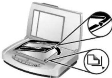 HP Scanjet 7600 - Starte skanningen - 1