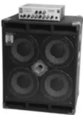LINE 6 Collector Classics - Adam and Eve: Based on\* an Eden Traveller WT-300 - 1