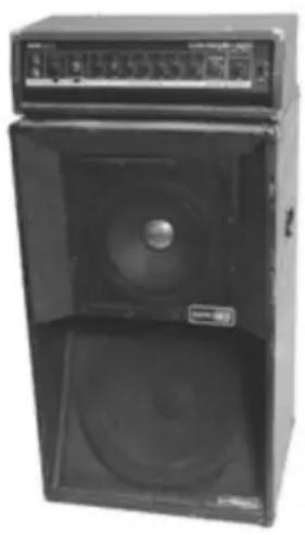 LINE 6 Collector Classics - Stadium: Based on\* a Sunn® Coliseum - 1