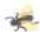 Paraclipse Fly Patrol - Paraclipse Fly Patrol™ - 1