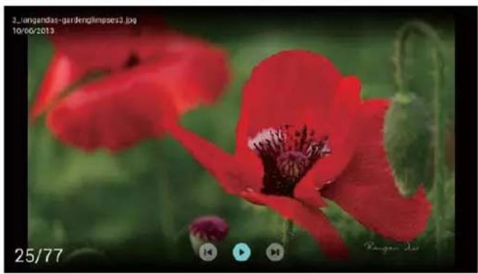 PHILIPS 58PUF8205 - 观看照片 - 1