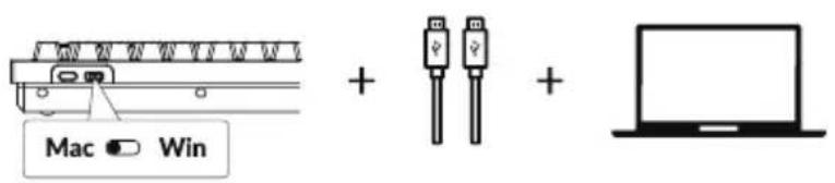 Mac Win + +