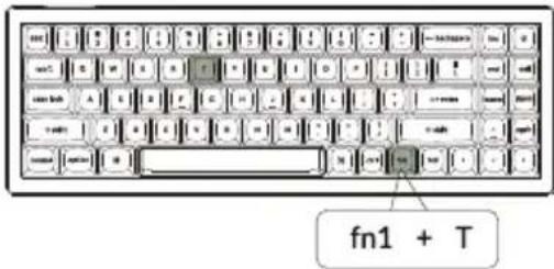 fn1 + T