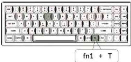 fn1 + T