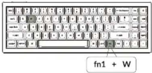 fn1 + W