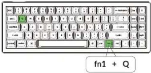 fn1 + Q