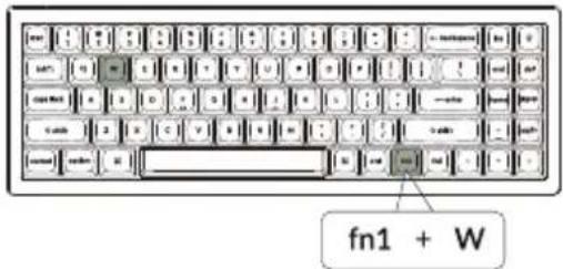fn1 + W