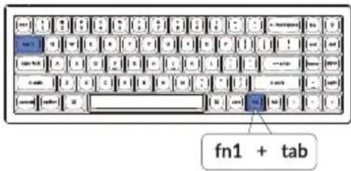 fn1 + tab