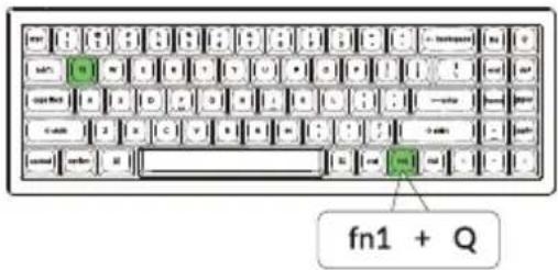 fn1 + Q