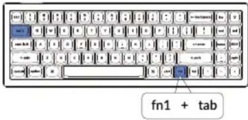 fn1 + tab