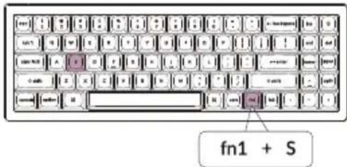 fn1 + S