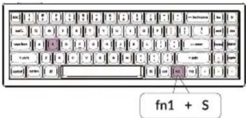 fn1 + S